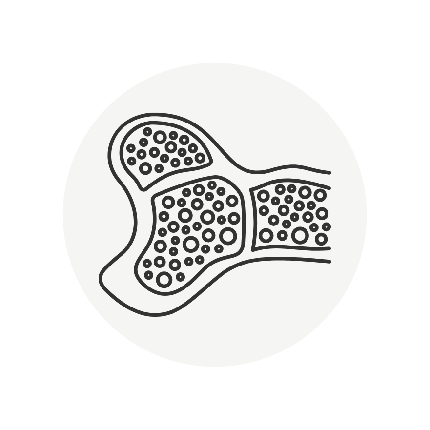 White icon of bone.